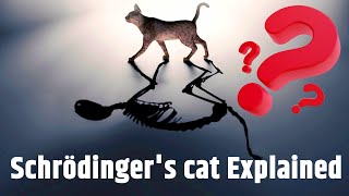 What is Schrodingers cat Schrödinger cat experiment explained in Hindi [upl. by Oswin]