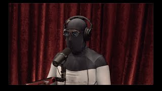 Joe Rogan Experience 2157  Duncan Trussell [upl. by Ahsirpac588]