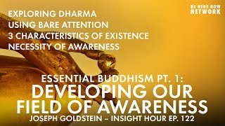 Essential Buddhism Part 1  Developing Our Field of Awareness w Joseph Goldstein  Insight Hour 122 [upl. by Bryan]