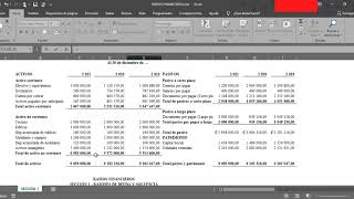 Ratios Financieros en Excel [upl. by Enailuj]