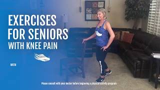 Exercises for Seniors with Knee Pain [upl. by Mccoy964]