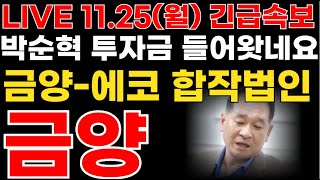 에코프로금양 2차전지 금양에코그룹 배터리 인수합병 금감원 승인 박순혁 quot투자금 들어왓습니다quot 에코프로 에코그로비엠 금양 [upl. by Gilson]