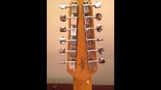 12 string Telecaster [upl. by Salvatore782]