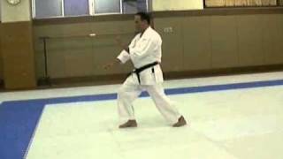 Israel Shotokan Eli Cohen Hangetsu Side view Slow [upl. by Assirahs382]