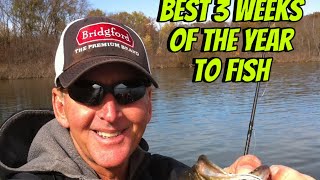 45 Year Stats On The Best Time Best Lure To Catch Big Bass… [upl. by Llebana]