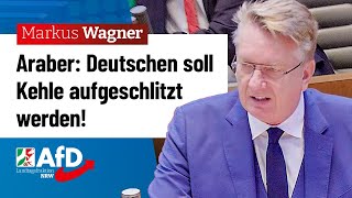 Nach Sieg des Kalifats Reihenfolge der Opfer – Markus Wagner AfD [upl. by Eilzel]