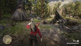 RDR2  How to rob or kill Wapiti Indians [upl. by Nesnah336]