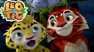 Leo and Tig 🦁 Necklace from a Forgotten City 🐯 Funny Family Animated Cartoon for Kids [upl. by Tabber]