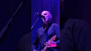 The Stranglers I Skin Deep I Live In Belfast 11th March 2024 [upl. by Vi]