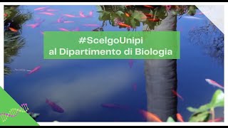 IoScelgoUnipi al Dipartimento di Biologia [upl. by Aliab]