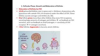 MED LEVEL2 REP PHYSIOLOGY OVARIAN FUNCTION OVARIAN CYCLE LECTURE1 [upl. by Fennelly]