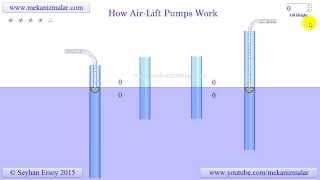 Everything YOU need to know about AIRLIFT SUSPENSION [upl. by Lednyk]