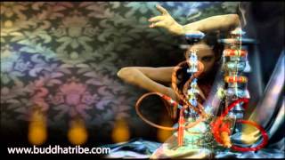 Belly Dancing Lounge Music for Seductive Dance  Indian amp Arabian Music [upl. by Nabois840]