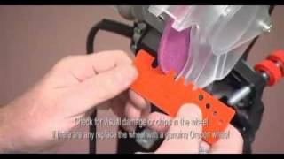 How to Sharpen Chain Saw Chains Oregon Chainsaw Sharpening Guide [upl. by Airdna]