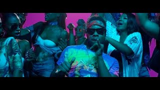 Maleek Berry  Eko Miami ft Geko Official Video [upl. by Colvert974]