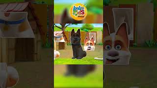 Laugh and Learn with LooLoo Kids   Creative Play for Your Brilliant Children Kids Entertainment [upl. by Fronniah]