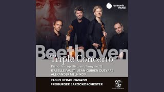 Triple Concerto in C Major Op 56 II Largo [upl. by Trygve69]