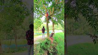 কি করে দেখেন funny comedy trending [upl. by Alayne]