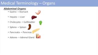 Medical Terminology  The Basics  Lesson 1 [upl. by Bushore706]