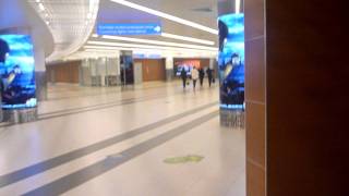 TRAVEL CHANNEL  Imigration at Moscow Airport  Moscow Sheremetyevo International Airport [upl. by Hoffmann]