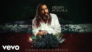 Diego El Cigala  Cenizas Audio [upl. by Moreland]