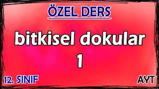 16 Bitkisel Dokular 1  Özel Ders 12 Sınıf [upl. by Warden]