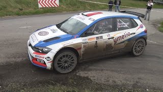 Rallye des Bornes 2024DChevalley [upl. by Lombardo51]