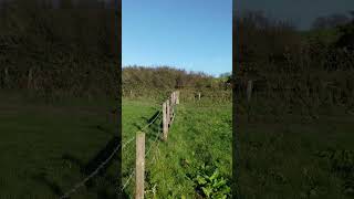 View near Langton Herring Dorset [upl. by Ahsekyt133]