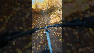 MTB ROUTE DE DELLENcanyonbikes newmtb djiosmoactioncamera [upl. by Harneen]