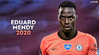 Edouard Mendy 2020  Welcome to Chelsea  Best Saves Show  HD [upl. by Herstein]