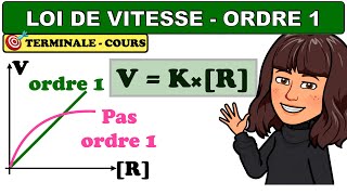 Loi de vitesse  ordre 1  version complète  CHIMIE  TERMINALE [upl. by Anson]