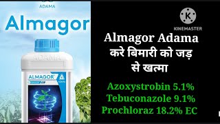 Almagor fungicide Adama agriculture Azoxystrobin 51 Tebuconazole 91Prochloraz 182 Ec [upl. by Michey]