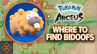 Pokemon Legends Arceus  Bothersome Bidoof Locations Guide [upl. by Adhern]