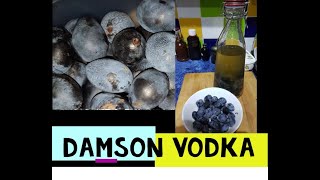 Damson Vodka Easy 2 minute liqueur damsons [upl. by Yatnoj]