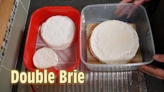 How to Make Double Brie Cheese at Home [upl. by Andrus]