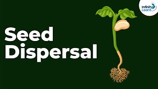 Seed Dispersal  Reproduction in Plants  Dont Memorise [upl. by Nellak]