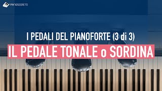 I Pedali Del Pianoforte  Il Pedale Tonale O Sordina 3 di 3 [upl. by Morley]