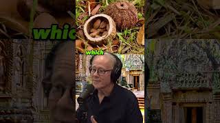 The Lost Civilization of the Amazon Graham Hancock Reveals Ancient Wonders  JRE 2051 [upl. by Kendre]