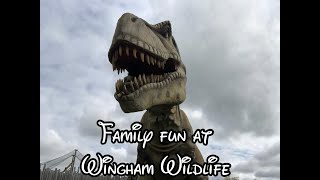 Family fun at Wingham Wildlife Park Part 1 [upl. by Eiraminot276]