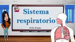 Sistema respiratorio [upl. by Abana]