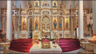 Divine Liturgy of the 22nd Sunday after Pentecost on Sunday November 24 2024 [upl. by Ykcir]