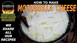 How to Make Mozzarella Cheese [upl. by Aileen]