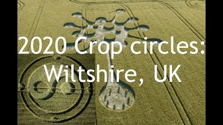 2 recent crop circles from Wiltshire UK 29amp30 May 2020 [upl. by Yehus]