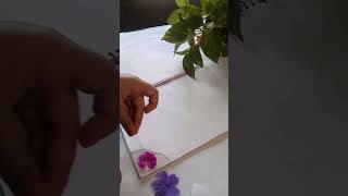 Cool diary decor idea music calmdown please subscrive🌸🌸 [upl. by Luckett110]