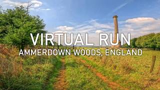 Virtual Run  Ammerdown Woods in Summer  Treadmill Running Scenery [upl. by Elatan]