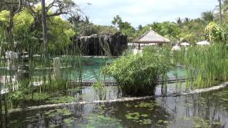 The Westin Resort Nusa Dua Bali [upl. by Atinej]