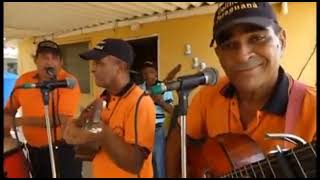 SEMBRAR LA YUCA VIOLINES DE PARAGUANÁ CANTAN ALEXIS Y OMAR 140319 [upl. by Linus]