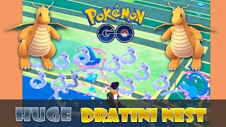 Huge DRATINI NEST and EASY FAST Dragonite and Gyarados [upl. by Carder373]