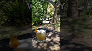 quotWHISKEY SOURquot 🥃🍋 ¿El mejor cocktail sour  Tutorial Bartender argentina [upl. by Nosreve]