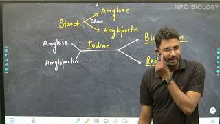 L14  Polysaccharides  Carbohydrate  Biomolecules  Class 11th  NEET [upl. by Slayton]